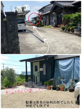 アリス(Alice)/サロン道案内 (3)