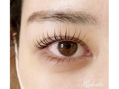 アイラッシュリゾートカハラ 四ツ谷三丁目店(Kahala)の写真