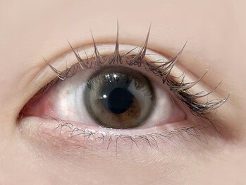 アイラッシュアンドアイブロウ ラブリム(LOVERIM)/カラーラッシュ