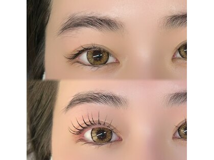 エレ(ele)の写真