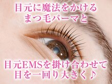 ショートルーム(shortroom)/◆目元に魔法を！まつ毛パーマ
