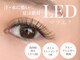 カンナカンナ(cannaCANNA)の写真