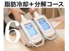 脂肪冷却6CUP×脂肪分解溶液導入×高出力キャビ× 血流循環全身ケア