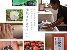 湧泉はりきゅういん