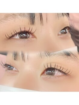 ケイ(K)/フラットラッシュ120本