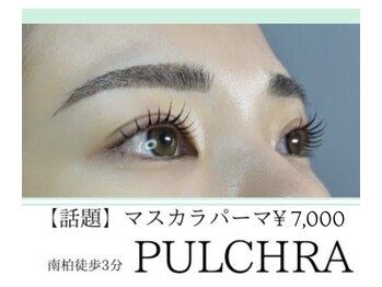 プルクラ(PULCHRA)