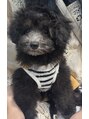 ポノピピ(ponopipi) 愛犬の月陽くんです☆