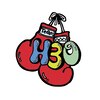 エイチスリーオー(H3O)のお店ロゴ