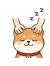 【学割U24限定】疲れた頭、首肩に◎勉強疲れ解消【ドライヘッドスパ】 30分