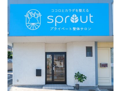 スプラウト(sprout)の写真