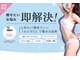 パピヨン(Papillon)の写真
