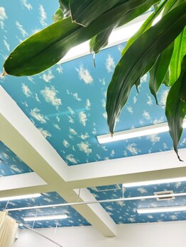 青空整骨院/青空整骨院 天井