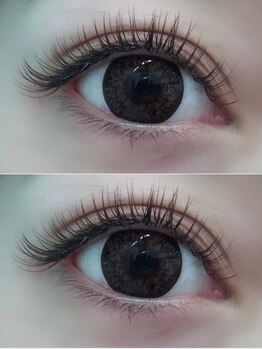 トゥーラッシュ バイ ビーハ(toolash by beha)/