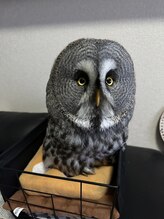 ビーワン(美-ONE)&nbsp;吉田 順子