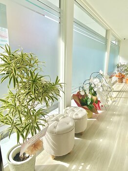 クリニカルホワイトケア 和泉府中店(クリニカルWHITEケア)/店内の様子