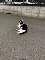 アンブラ 梅田北店(Ambra)&nbsp;猫めっちゃ好きです((+_+))