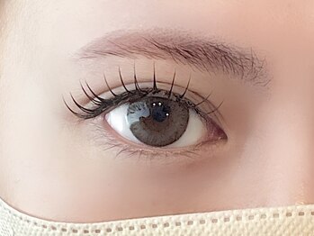 シエル(Ciel)/フラットラッシュ120本