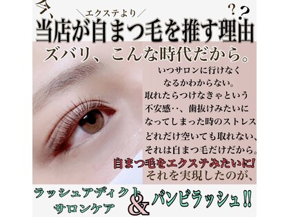 バンビちゃんのお目目 辻堂本店の写真