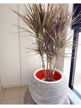 ポノワン(PONOWAN)/インテリア