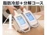 脂肪冷却4CUP×脂肪分解溶液導入×高出力キャビ×血流循環全身ケア