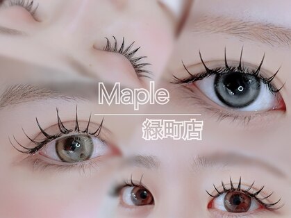 メイプル(Maple)の写真