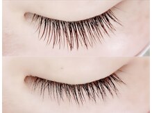 ハーゼ(Hase)/Flat Lash【Brown】120本