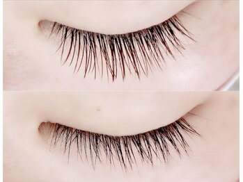 ハーゼ(Hase)/Flat Lash【Brown】120本