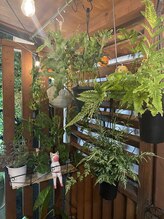 アール 作新前通り店(R)/