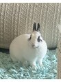 ダブルムーンビューティフル(DOUBLEmoonBeautiful) フローリア