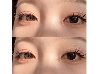 ラッシュラッシュ イーストモール店(Lash Rush)の写真