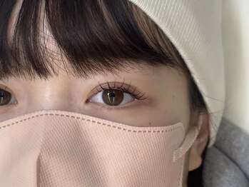 ディプティ モイラ(dipty MOILA)/【eye】extension120