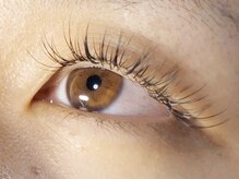 ウルカ アイラッシュ(uruka EYELASH)/フラットラッシュ　120本