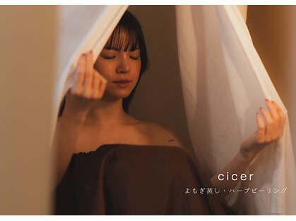 キケル(cicer)の写真