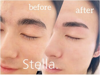 ステラ(Stella.)/メンズアイブロウ