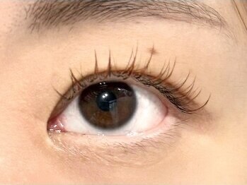 ムク 金沢八景(muk.)/カラーエクステ &nbsp;[全９色あり]