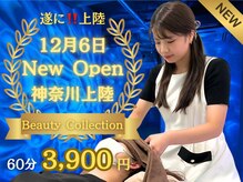 仙豆のちから x ドクターリセット 藤沢店(Dr.Reset)