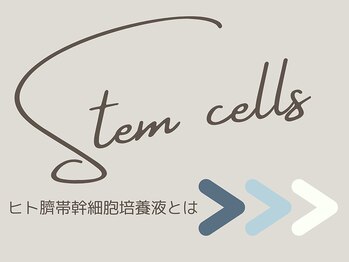 アントルーチェ 代々木上原(Entluce.)/ヒト臍帯幹細胞培養液について