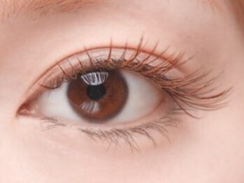 ココラッシュ 日吉(cocolash)の写真/目元から印象を変えたい方におすすめ!【カラーエクステ】ブラウンフラットラッシュあり★柔らかい雰囲気に