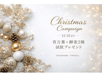 ヨサパーク ティオール(YOSA PARK THIAUL)