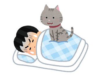 大久保整体院の写真/目覚めがスッキリしない!疲れが取れない!「筋膜リリース整体60分7500円」