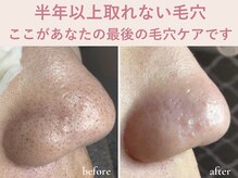エアル(earu.)