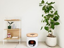 ナポデイズ(NAPODAYS)の雰囲気（肌質改善に必要な**体質ケア**《麻草よもぎ蒸し》を導入しました）