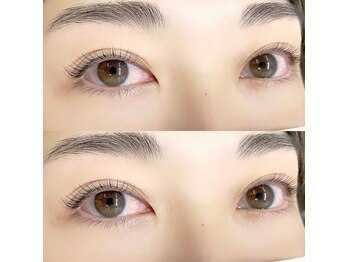ディア ラッシュ(Dea Lash)の写真/【美眉スタイリングワックス¥4900/ケラチントリ-トメントまつ毛パーマ上下¥6000】スッピンでも美しく◎