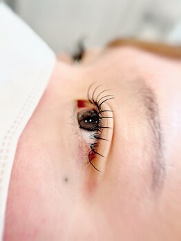 ミリ(.mm)/フラットラッシュ　100本