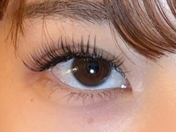 バンビズルーム(Bambi's Room)/フラットラッシュ