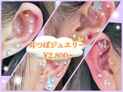 シード(SHE°)の写真