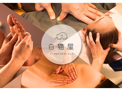 白猫屋の写真
