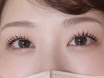 モルレーヴ(MOLREVE)/ナチュラル束感で垢抜ける目元へ