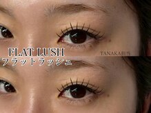 アイル(eil.)/フラットラッシュ120本