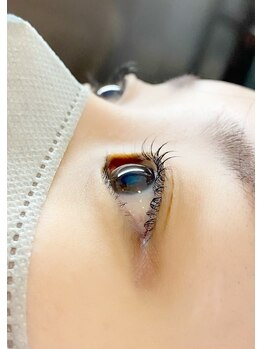 カバー(COVER)/CUTEカールデザイン